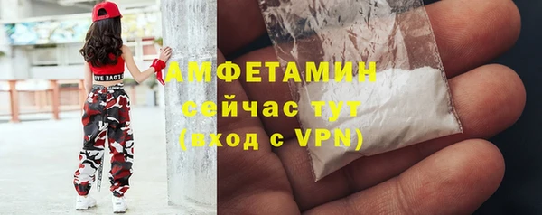 шишки Алексин