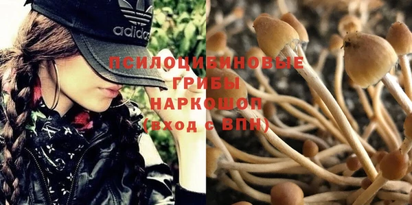 мяу мяу кристалл Алексеевка