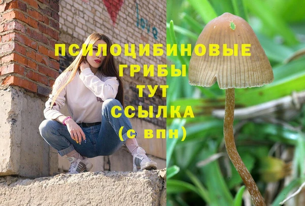 каннабис Алзамай