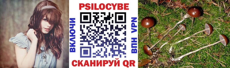 сколько стоит  Узловая  Галлюциногенные грибы Magic Shrooms 