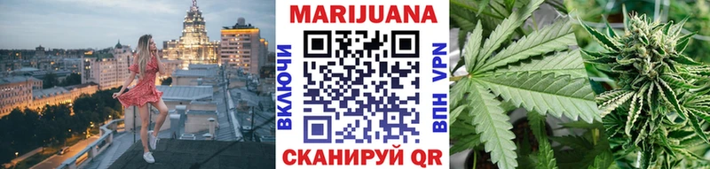 Канабис ГИДРОПОН Узловая